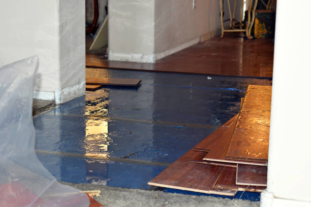 Professional Burst Pipe Cleanup technician working in Alger, OH