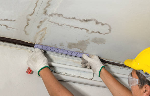 Reliable Burst Pipe Cleanup contractor in Alger, OH by Water Damage Irwin